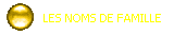 LES NOMS DE FAMILLE